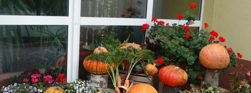 Święto Owoców i Warzyw